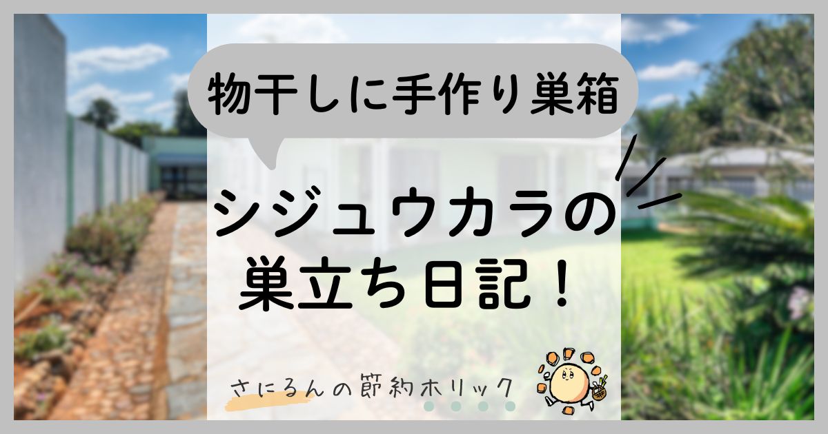 暮らしを楽しむ：物干し場に手作り巣箱。シジュウカラの巣立ち日記！